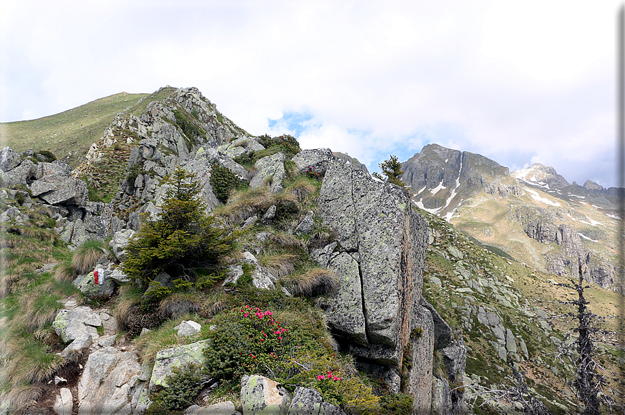 foto Rifugio Brentari